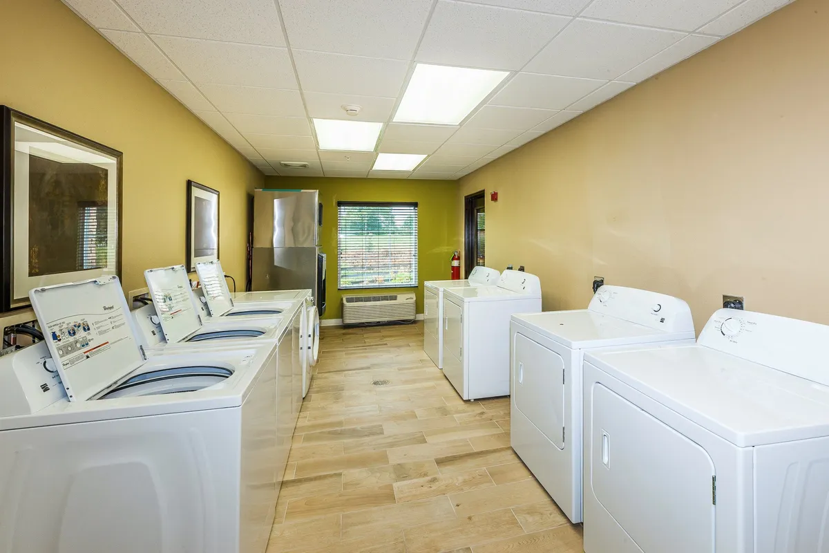 A well-lit laundry room with modern washing machines and dryers, large windows letting in natural light, and clean floors. The setup is tidy and organized, conveying a sense of cleanliness and practicality.